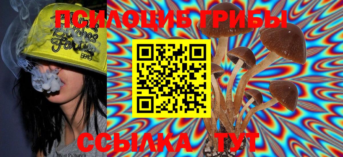 COCAIN  ГАШ  Вход с VPN  Сунжа  Где продают наркотики?  МЕФ кристаллы 