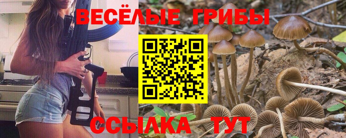 Псилоцибиновые грибы прущие грибы Сунжа