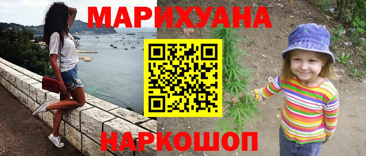 МАРИХУАНА план Сунжа
