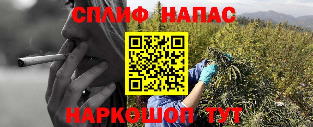 Бошки Шишки ГИДРОПОН  Каннабис марихуана  Сунжа  МАРИХУАНА планчик  Вход с VPN 